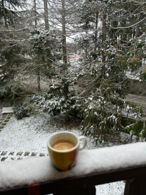 NadSan Mountain House Camigliatello Silano